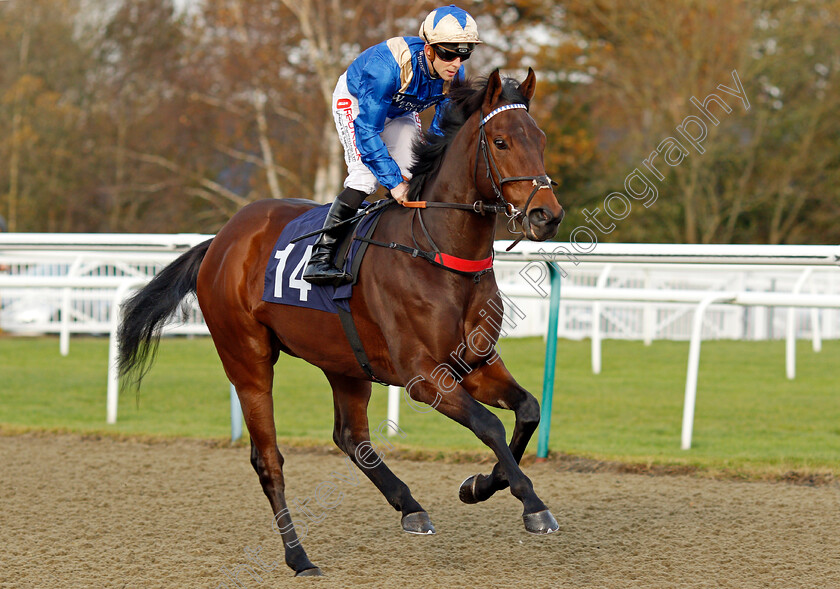 Sir-Titan-0001 
 SIR TITAN (Ben Curtis) Lingfield 21 Nov 2017 - pic Steven Cargill / Racingfotos.com