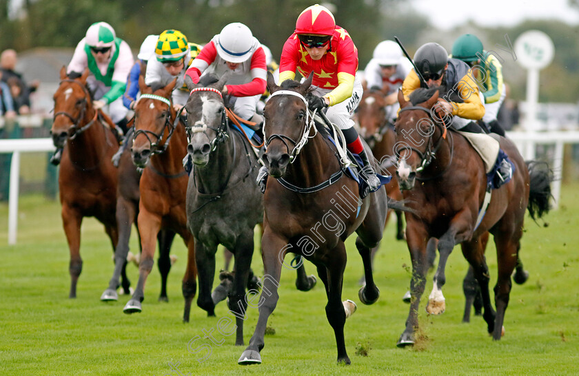 Son-Of-Man-0005 
 SON OF MAN (David Egan) wins The British Stallion Studs EBF Novice Stakes Div1
Yarmouth 19 Sep 2023 - Pic Steven Cargill / Racingfotos.com