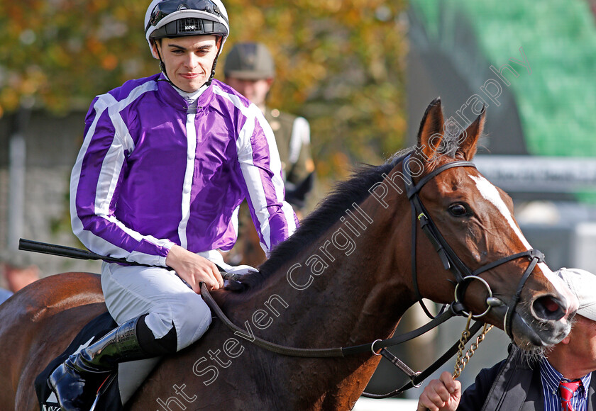 Happily-0008 
 HAPPILY (Donnacha O'Brien) after The Moyglare Stud Stakes Curragh 10 Sep 2017 - Pic Steven Cargill / Racingfotos.com