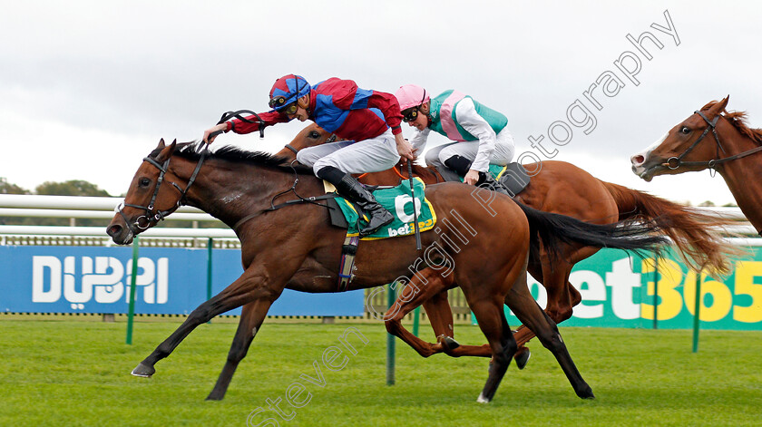 Powerful-Breeze-0005 
 POWERFUL BREEZE (James Doyle) leads QUADRILATERAL (farside) in the bet365 Fillies Mile
Newmarket 11 Oct 2019 - Pic Steven Cargill / Racingfotos.com