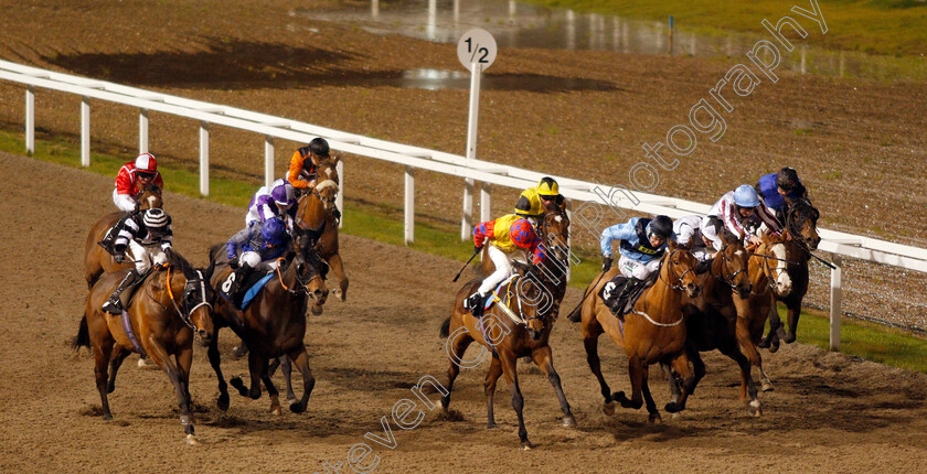 Samphire-Coast-0002 
 SAMPHIRE COAST (left, Ben Curtis) beats GLOBAL ART (2nd left) EXTRODINAIR (centre) and DIRECTORY (4th right) in The Bet totetrifecta At totesport.com Handicap
Chelmsford 28 Nov 2019 - Pic Steven Cargill / Racingfotos.com