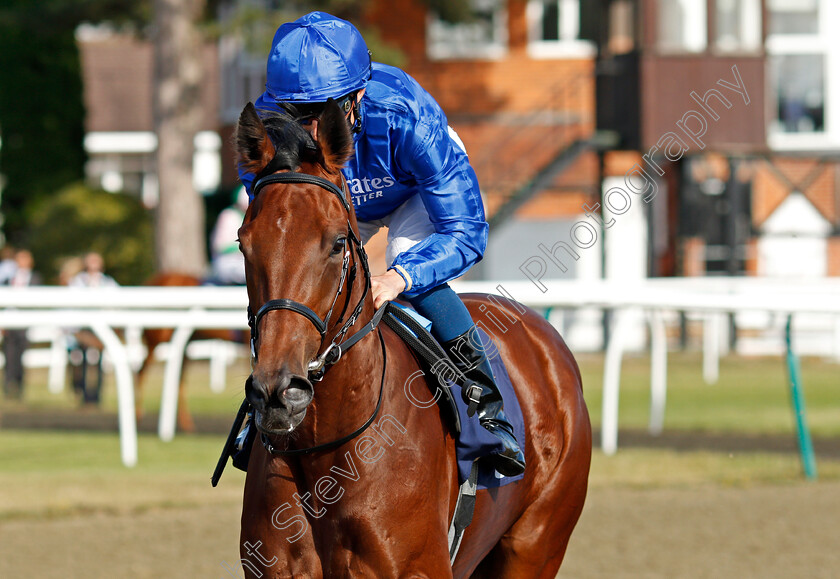 Nash-Nasha-0002 
 NASH NASHA (William Buick) winner of The Betway EBF British Stallion Studs Fillies Novice Stakes
Lingfield 5 Aug 2020 - Pic Steven Cargill / Racingfotos.com