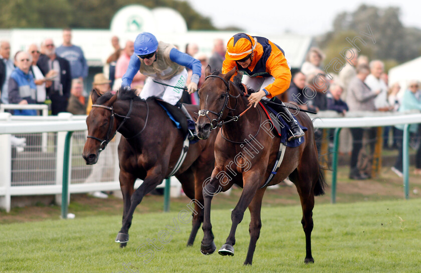 Potters-Lady-Jane-0003 
 POTTERS LADY JANE (Josephine Gordon) wins The British EBF Fillies Handicap
Yarmouth 20 Sep 2018 - Pic Steven Cargill / Racingfotos.com