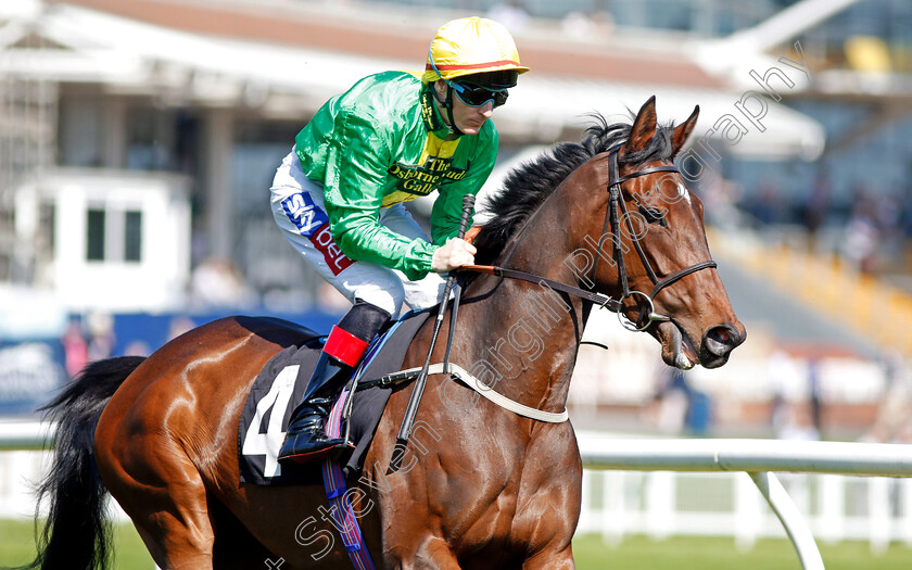 Bossiney-Bay-0001 
 BOSSINEY BAY (Fran Berry) Newbury 20 Apr 2018 - Pic Steven Cargill / Racingfotos.com