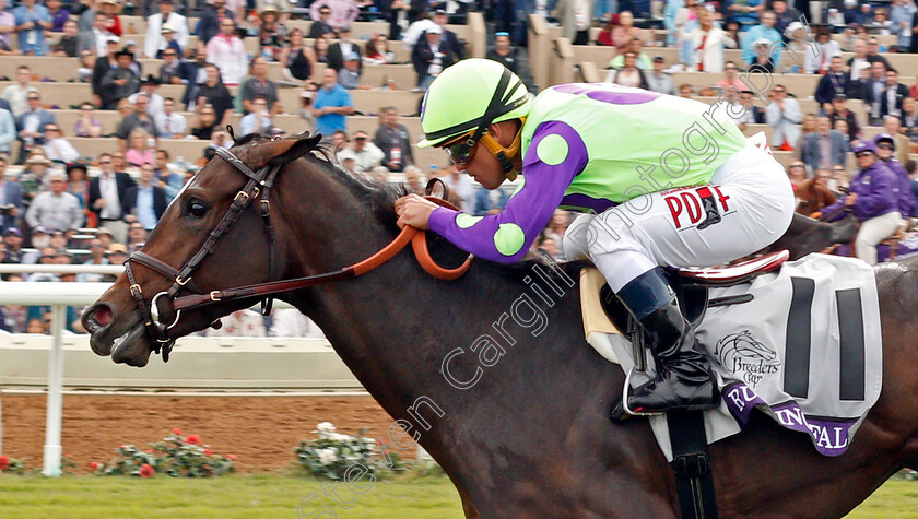 Rushing-Fall-0002 
 RUSHING FALL (Javier Castellano) wins The Breeders' Cup Juvenile Fillies Turf, Del Mar USA 3 Nov 2017 - Pic Steven Cargill / Racingfotos.com