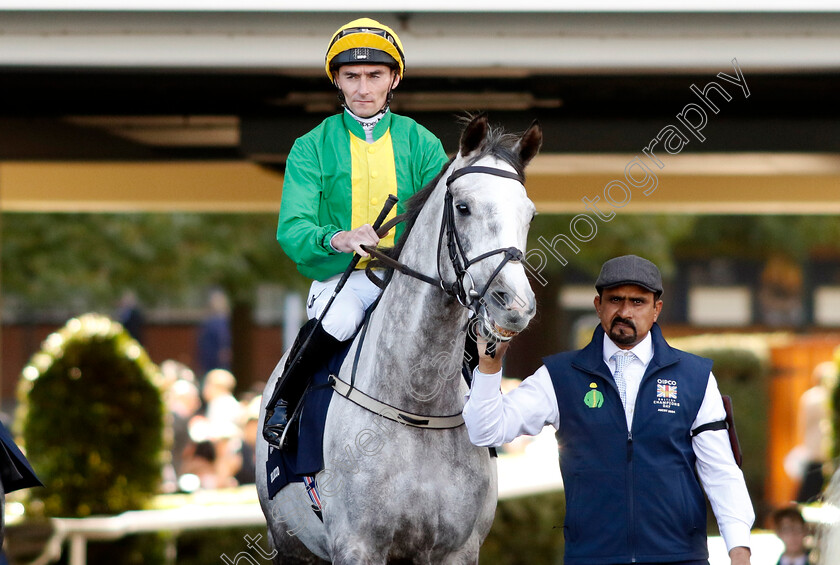 Belloccio-0002 
 BELLOCCIO (Daniel Tudhope)
Ascot 19 Oct 2024 - Pic Steven Cargill / Racingfotos.com