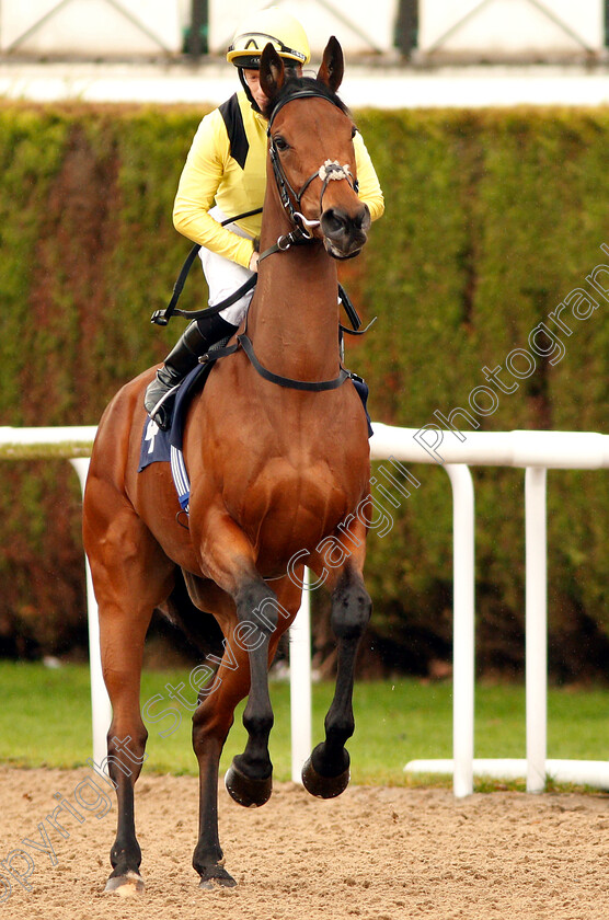 Ebbraam-0001 
 EBBRAAM (Edward Greatrex)
Wolverhampton 28 Nov 2018 - Pic Steven Cargill / Racingfotos.com