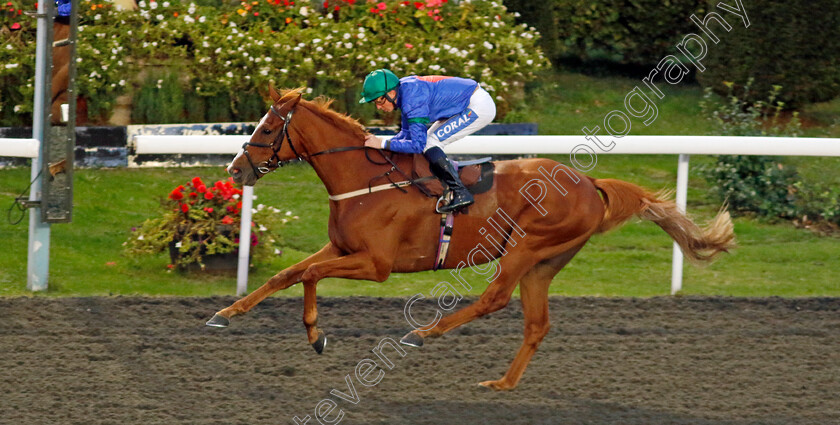 Rockit-Tommy-0001 
 ROCKIT TOMMY (David Probert) wins The Highclere Castle Feeds Handicap
Kempton 2 Oct 2024 - Pic Steven Cargill / Racingfotos.com