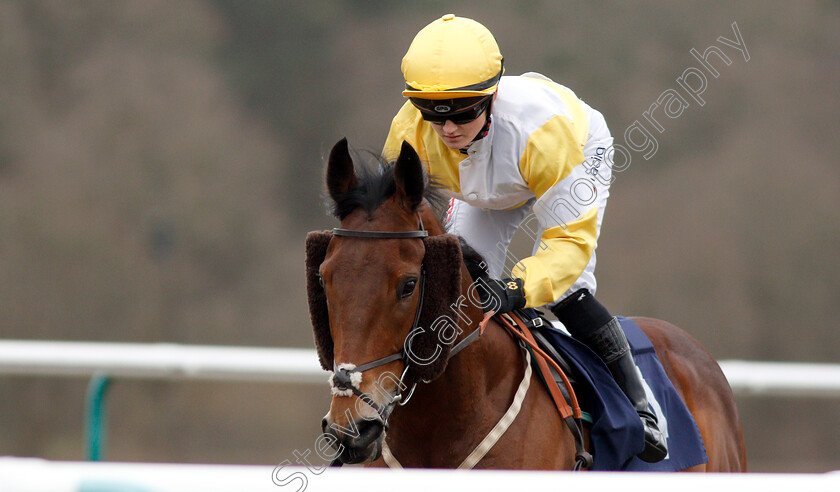 Quiet-Endeavour-0001 
 QUIET ENDEAVOUR (Hollie Doyle)
Lingfield 2 Mar 2019 - Pic Steven Cargill / Racingfotos.com