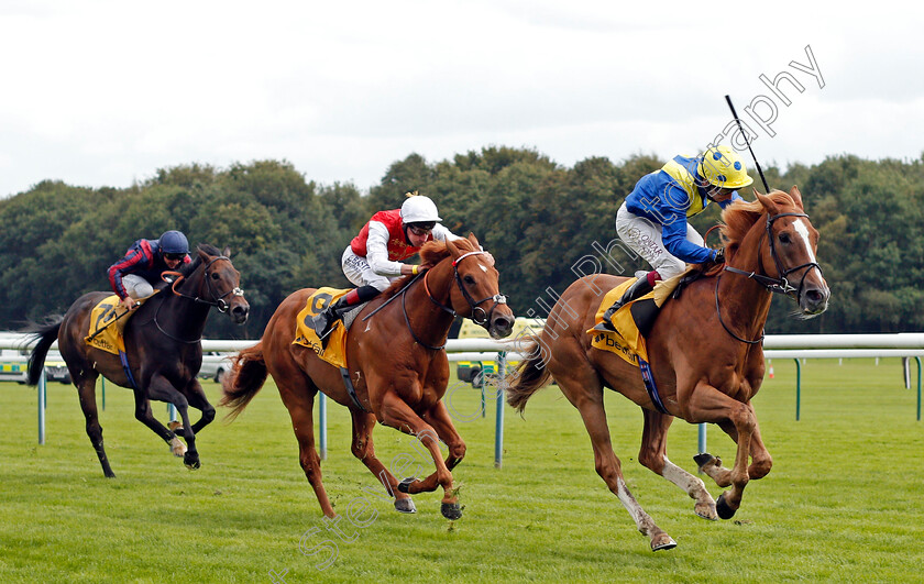 Dream-Of-Dreams-0003 
 DREAM OF DREAMS (Oisin Murphy) beats GOLDEN HORDE (2nd right) in The Betfair Sprint Cup
Haydock 5 Sep 2020 - Pic Steven Cargill / Racingfotos.com