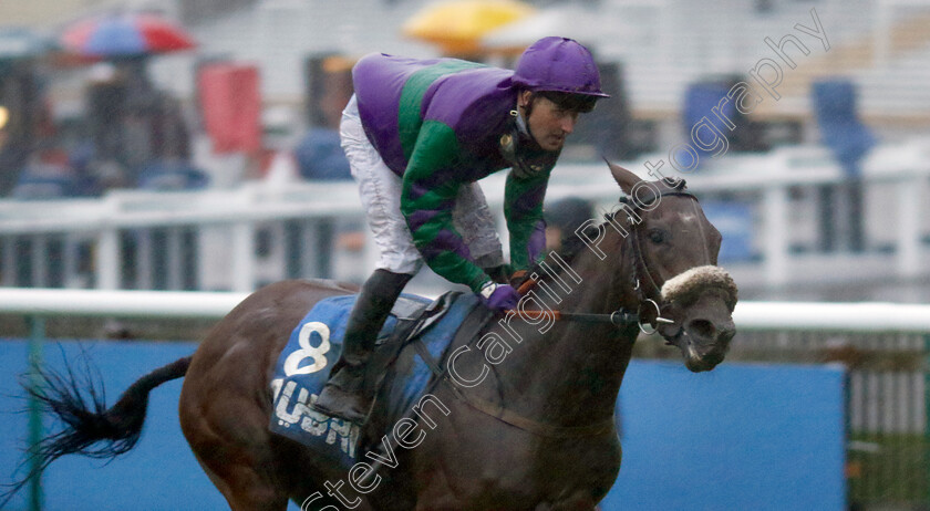 Novus-0003 
 NOVUS (Tom Queally) wins The Newmarket Pony Academy Pride Stakes
Newmarket 13 Oct 2023 - Pic Steven Cargill / Racingfotos.com