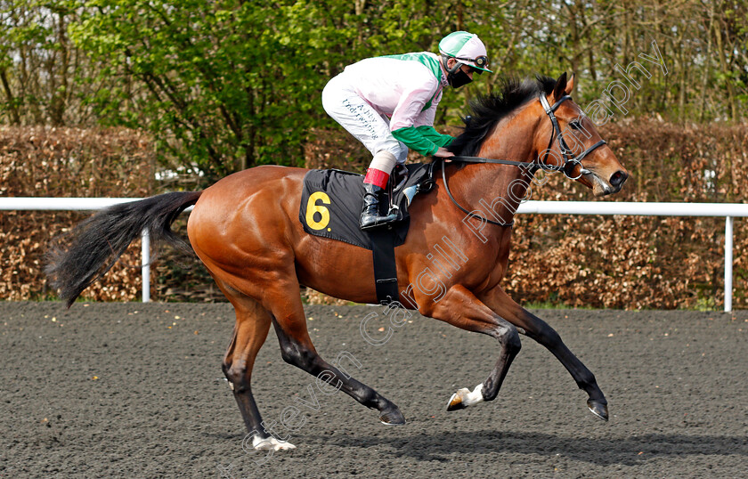 Wild-Mountain-0001 
 WILD MOUNTAIN (Andrea Atzeni)
Kempton 5 Apr 2021 - Pic Steven Cargill / Racingfotos.com