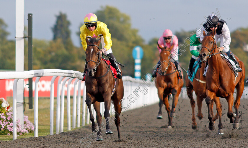 Dreamy-Rascal-0005 
 DREAMY RASCAL (Rossa Ryan) wins The Matchbook Betting Podcast Nursery
Kempton 3 Sep 2019 - Pic Steven Cargill / Racingfotos.com