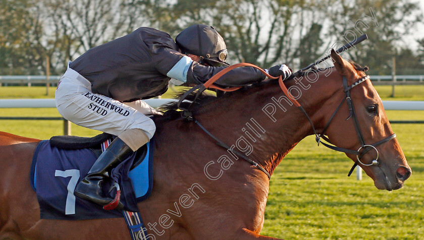 Manucci-0006 
 MANUCCI (Martin Dwyer) wins The Starsportsbet.co.uk Handicap
Bath 16 Oct 2019 - Pic Steven Cargill / Racingfotos.com