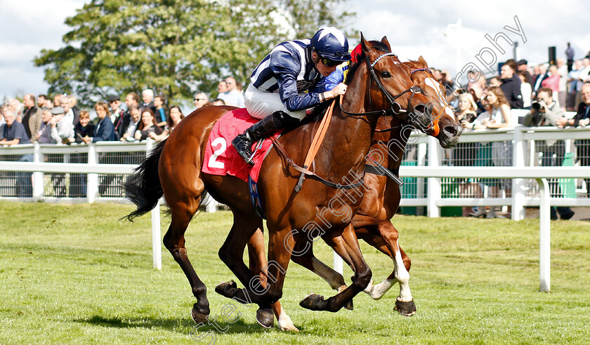 Ragnar-0002 
 RAGNAR (Jason Watson) beats RHYTHMIC INTENT (farside) in The Beck Celebrating 25 Years Of Excellence Handicap
Sandown 14 Jun 2019 - Pic Steven Cargill / Racingfotos.com