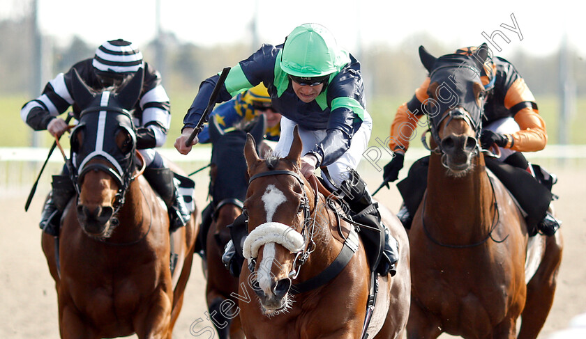 Lion-Hearted-0004 
 LION HEARTED (Mark Crehan) wins The Bet totetrifecta At totesport.com Handicap
Chelmsford 11 Apr 2019 - Pic Steven Cargill / Racingfotos.com