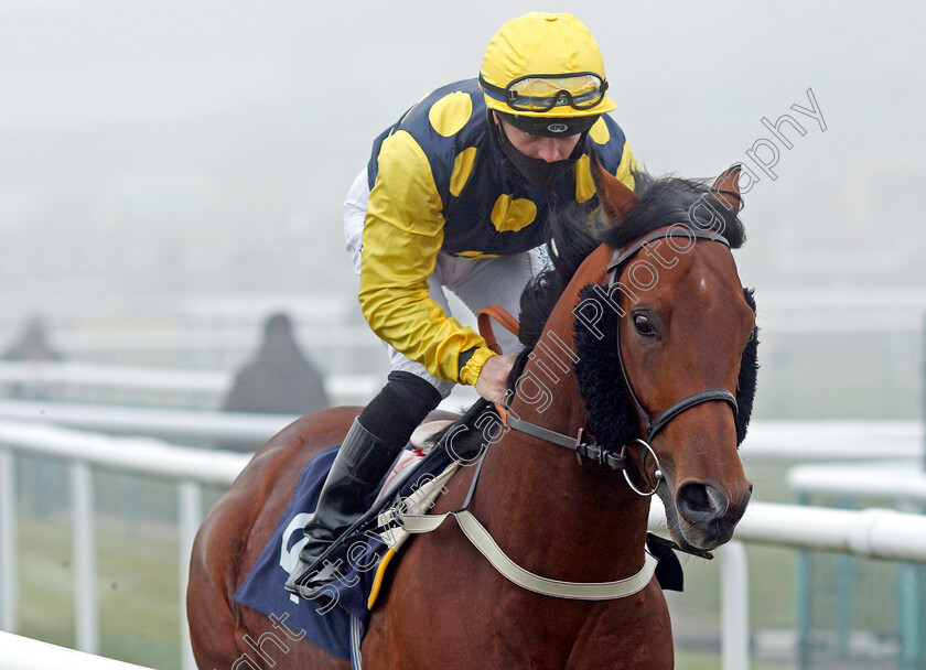 Isle-Of-Lismore-0001 
 ISLE OF LISMORE (Ray Dawson)
Doncaster 7 Nov 2020 - Pic Steven Cargill / Racingfotos.com