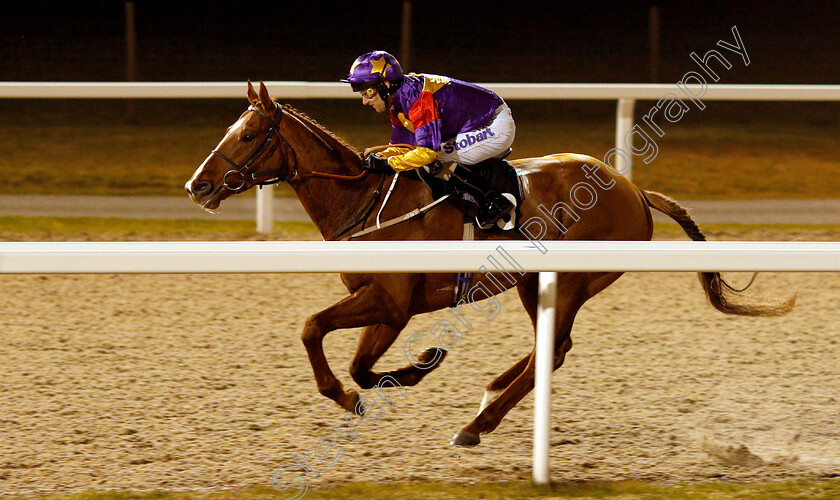 Lucky-Deal-0003 
 LUCKY DEAL (Joe Fanning) wins The Irish Lotto At totesport.com Handicap
Chelmsford 20 Feb 2019 - Pic Steven Cargill / Racingfotos.com