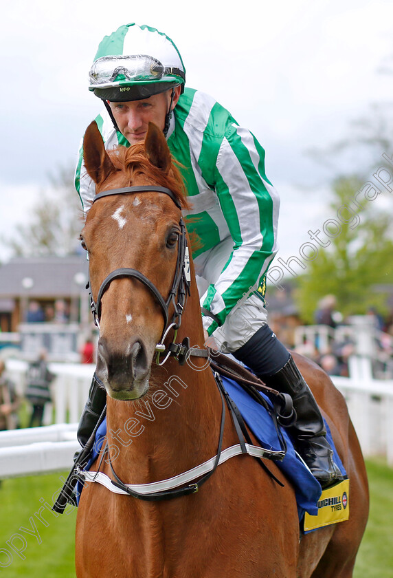 Mr-Lupton-0001 
 MR LUPTON (Paul Hanagan)
York 11 May 2022 - Pic Steven Cargill / Racingfotos.com