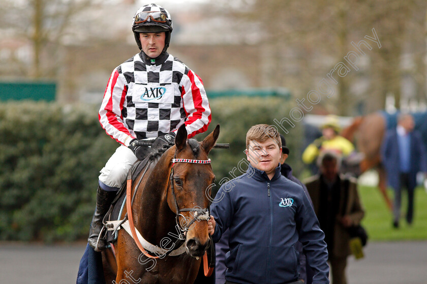 Colonial-Dreams-0007 
 COLONIAL DREAMS (Nico de Boinville) after The ROA Racing Post Owners Jackpot Maiden Hurdle Ascot 25 Mar 2018 - Pic Steven Cargill / Racingfotos.com