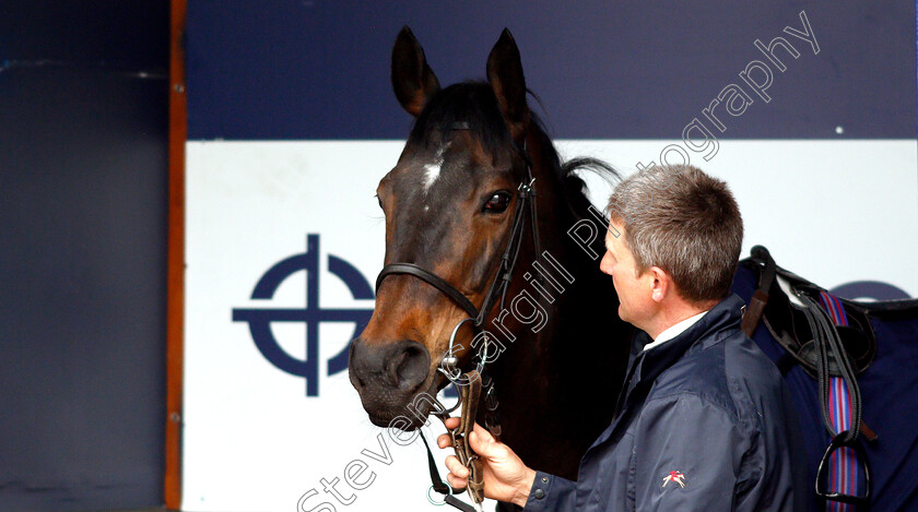 Midnight-Malibu-0001 
 MIDNIGHT MALIBU
Epsom 24 Apr 2019 - Pic Steven Cargill / Racingfotos.com