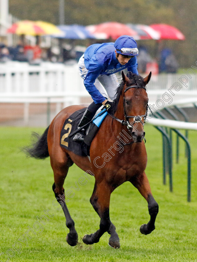 Marching-Thunder-0001 
 MARCHING THUNDER (Harry Davies)
Nottingham 11 Oct 2023 - Pic Steven Cargill / Racingfotos.com