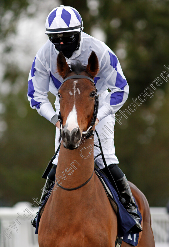 Lady-Lucky-Leslie-0001 
 LADY LUCKY LESLIE (Tom Marquand)
Lingfield 19 Dec 2020 - Pic Steven Cargill / Racingfotos.com