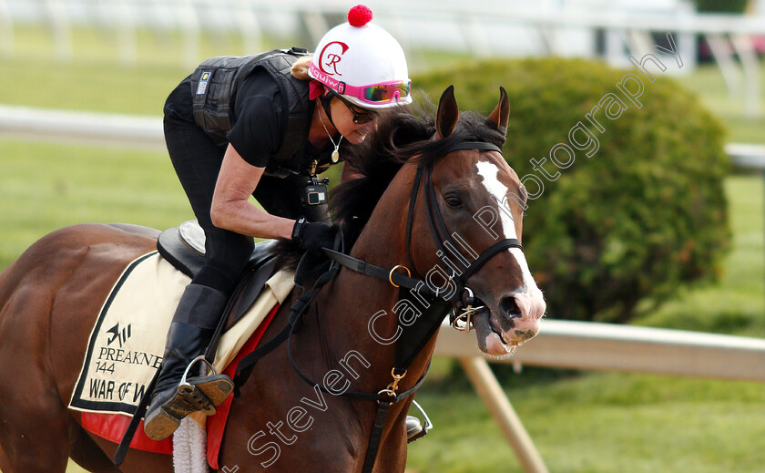 War-Of-Will-0003 
 WAR OF WILL exercising in preparation for the Preakness Stakes
Pimlico, Baltimore USA, 16 May 2019 - Pic Steven Cargill / Racingfotos.com