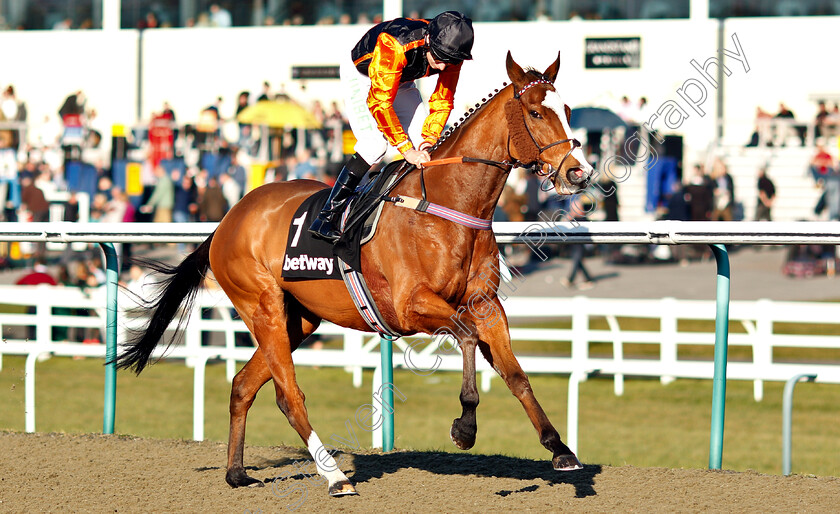 Big-Country-0001 
 BIG COUNTRY (Luke Morris)
Lingfield 23 Feb 2019 - Pic Steven Cargill / Racingfotos.com