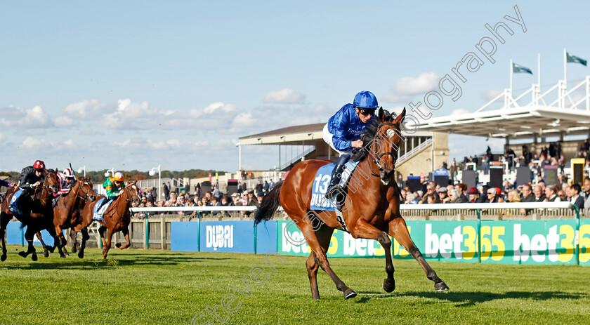 Verse-Of-Love-0004 
 VERSE OF LOVE (William Buick) wins The Godolphin Under Starters Orders Maiden Fillies Stakes
Newmarket 11 Oct 2024 - pic Steven Cargill / Racingfotos.com