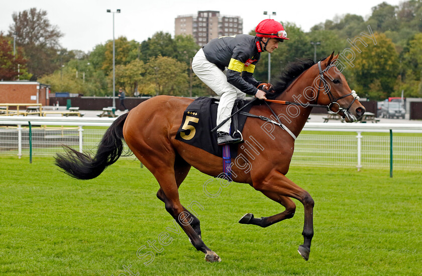 Gundogan-0001 
 GUNDOGAN (Callum Rodriguez)
Nottingham 11 Oct 2023 - Pic Steven Cargill / Racingfotos.com