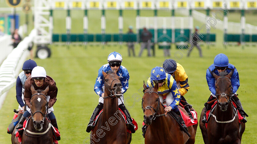 Lord-Lamington-0001 
 LORD LAMINGTON (left, Silvestre De Sousa) wins The Starsports.bet Handicap
Sandown 30 May 2019 - Pic Steven Cargill / Racingfotos.com