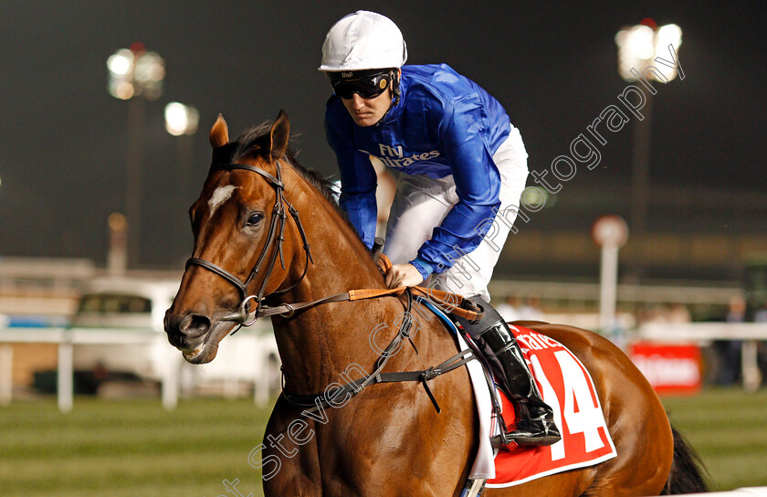 Best-Solution-0001 
 BEST SOLUTION (Pat Cosgrave) Meydan 10 Mar 2018 - Pic Steven Cargill / Racingfotos.com