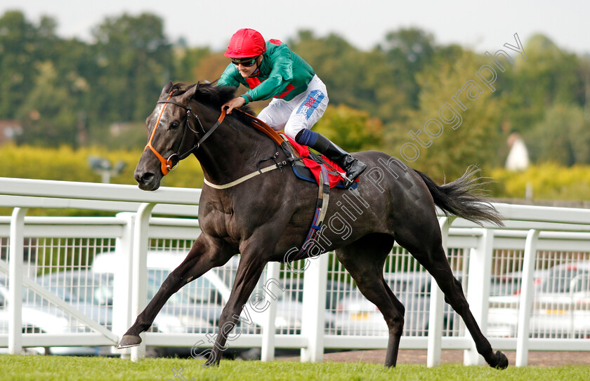 Mister-Blue-Sky-0001 
 MISTER BLUE SKY (Mitch Godwin) wins The Bishopsgate Pay Handicap Sandown 1 Sep 2017 - Pic Steven Cargill / Racingfotos.com