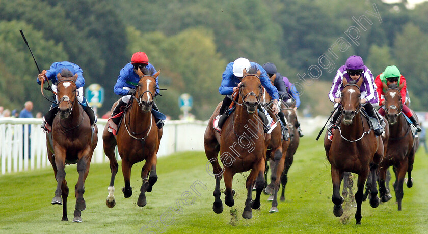 Old-Persian-0002 
 OLD PERSIAN (centre, James Doyle) beats CROSS COUNTER (left) and KEW GARDENS (right) in The Sky Bet Great Voltigeur Stakes
York 22 Aug 2018 - Pic Steven Cargill / Racingfotos.com