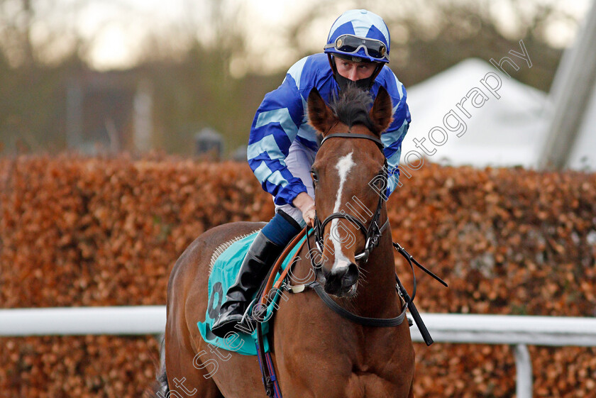 Moonlet-0001 
 MOONLET (Joey Haynes)
Kempton 16 Feb 2021 - Pic Steven Cargill / Racingfotos.com