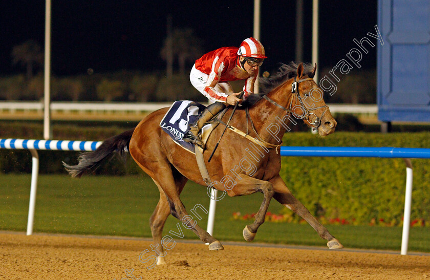 Withering-0006 
 WITHERING (Adrie de Vries) wins The Al Bastakiya Trial
Meydan, 4 Feb 2022 - Pic Steven Cargill / Racingfotos.com