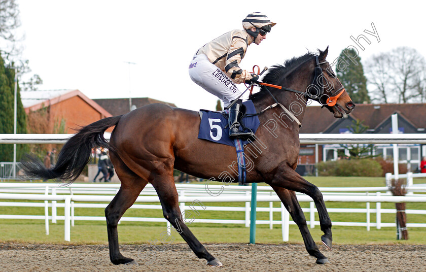 Doc-Sportello-0001 
 DOC SPORTELLO (Robert Winston) Lingfield 30 Dec 2017 - Pic Steven Cargill / Racingfotos.com