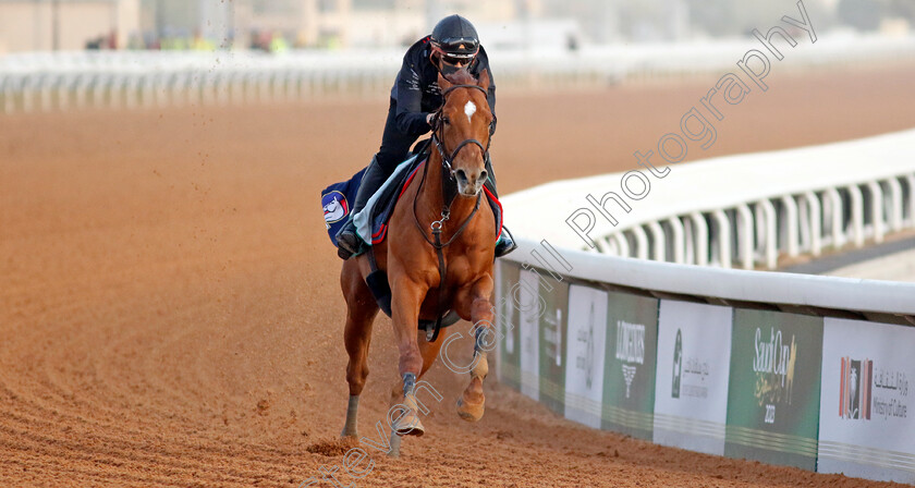 Geoglyph-0002 
 GEOGLYPH training for The Saudi Cup
King Abdulaziz Racecourse, Kingdom of Saudi Arabia, 22 Feb 2023 - Pic Steven Cargill / Racingfotos.com