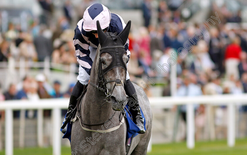 Lava-Stream-0003 
 LAVA STREAM (Daniel Tudhope)
York 22 Aug 2024 - pic Steven Cargill / Racingfotos.com