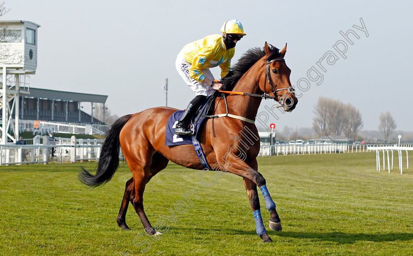 Clarion-Lady-0001 
 CLARION LADY (Jack Mitchell)
Yarmouth 20 Apr 2021 - Pic Steven Cargill / Racingfotos.com