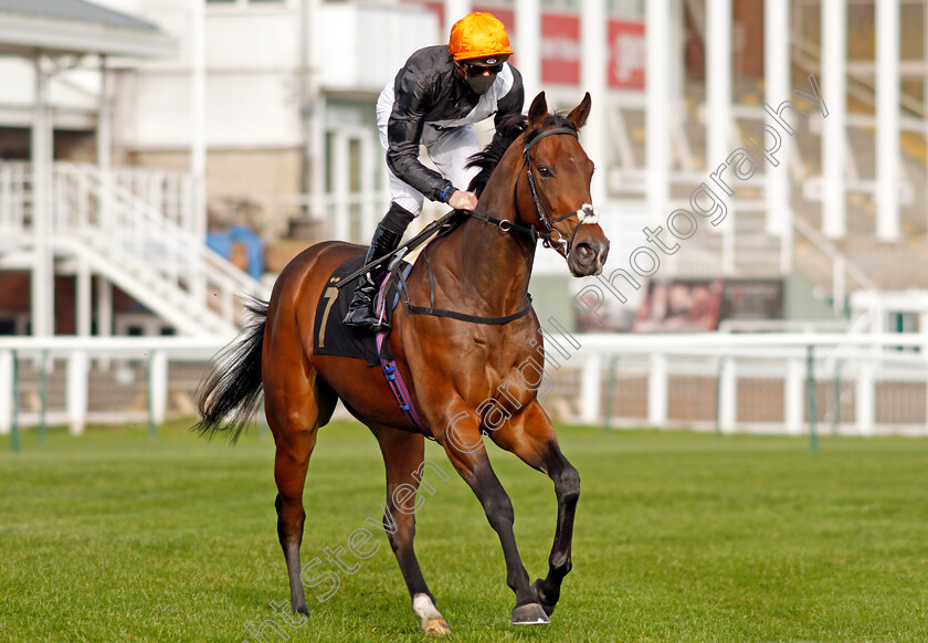 Quenelle-D Or-0002 
 QUENELLE D'OR (James Doyle)
Nottingham 4 Nov 2020 - Pic Steven Cargill / Racingfotos.com