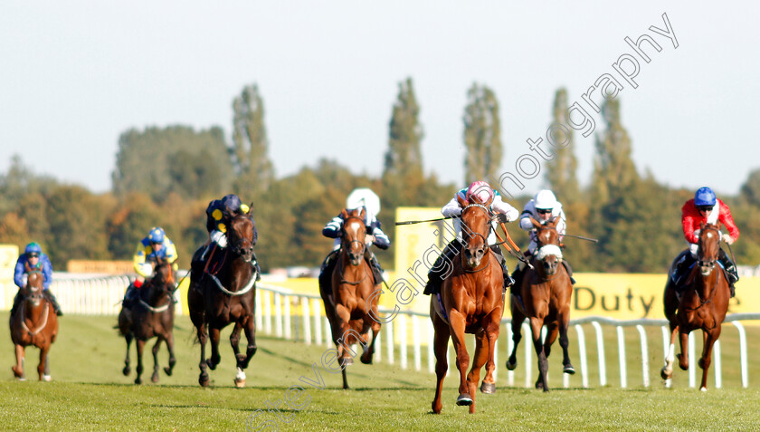 Quadrilateral-0003 
 QUADRILATERAL (Jason Watson) wins The Dubai Duty Free Full Of Surprises British EBF Fillies Conditions Stakes
Newbury 20 Sep 2019 - Pic Steven Cargill / Racingfotos.com