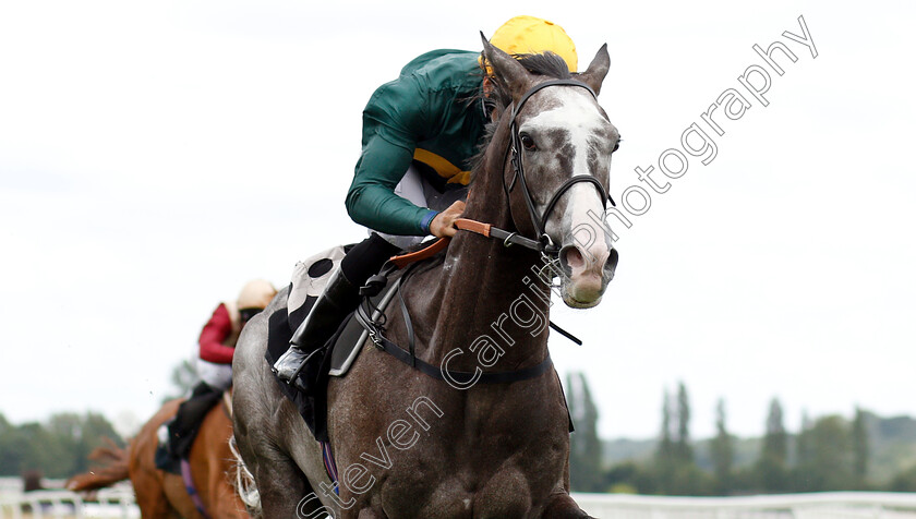 Chatham-House-0004 
 CHATHAM HOUSE (Sean Levey) wins The Donnington Grove Veterinary Surgery Handicap
Newbury 6 Aug 2019 - Pic Steven Cargill / Racingfotos.com