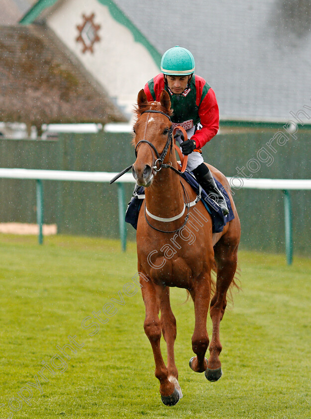 Dark-Side-Jazz-0001 
 DARK SIDE JAZZ (Silvestre De Sousa) Yarmouth 24 Apr 2018 - Pic Steven Cargill / Racingfotos.com