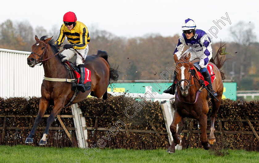 Castelfort-0002 
 CASTELFORT (left, David Noonan) beats ITHACA'S ARROW (right) in The betting.betfair.com Introductory Juvenile Hurdle
Sandown 8 Dec 2023 - pic Steven Cargill / Racingfotos.com