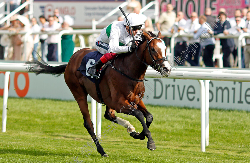 Free-Wind-0003 
 FREE WIND (Frankie Dettori) wins The Hippo Pro3 Park Hill Stakes
Doncaster 9 Sep 2021 - Pic Steven Cargill / Racingfotos.com