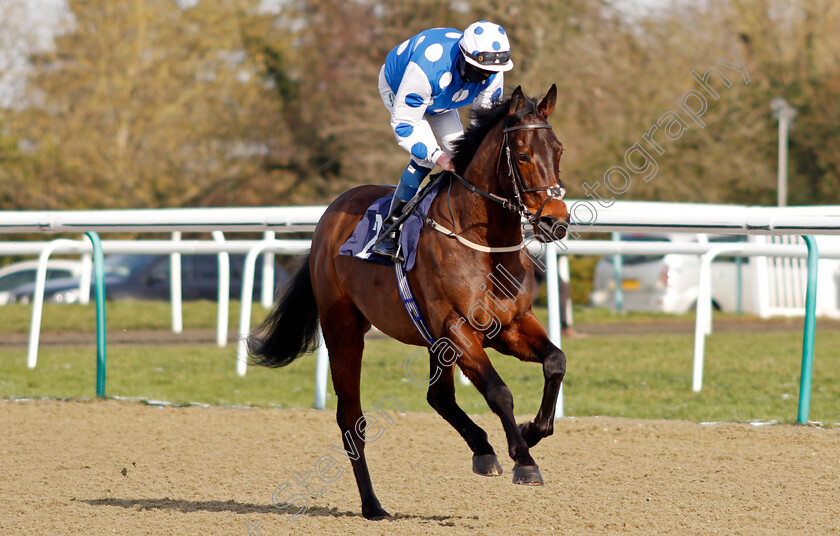 King s-Proctor-0001 
 KING'S PROCTOR (Darragh Keenan)
Lingfield 13 Feb 2021 - Pic Steven Cargill / Racingfotos.com