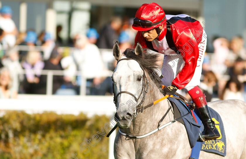 Soulofchess-0002 
 SOULOFCHESS (Carlos Lopez) 
Bro Park 17 Sep 2023 - Pic Steven Cargill / Racingfotos.com