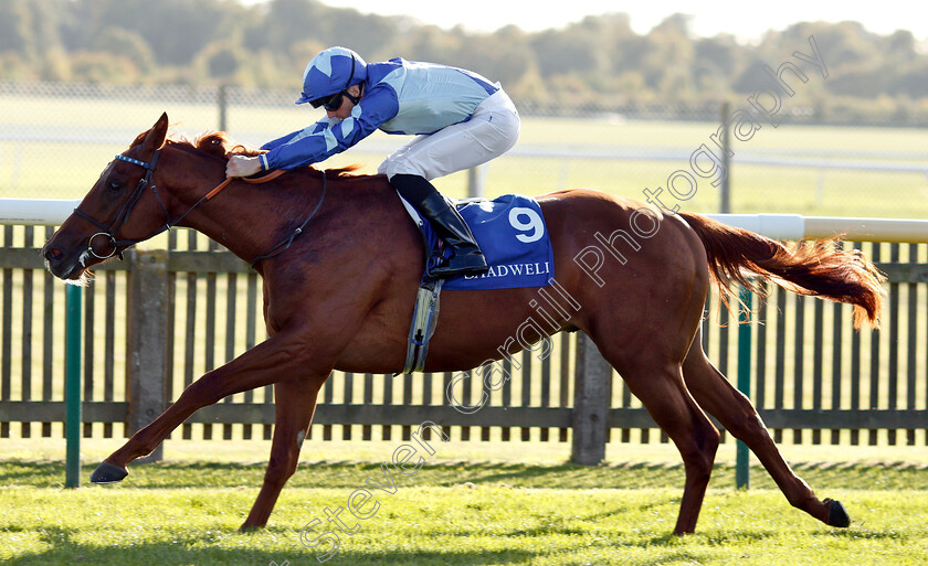 Skardu-0008 
 SKARDU (Martin Harley) wins The Derrinstown British EBF Maiden Stakes
Newmarket 28 Sep 2018 - Pic Steven Cargill / Racingfotos.com